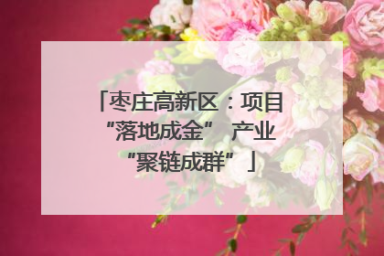 枣庄高新区：项目“落地成金” 产业“聚链成群”