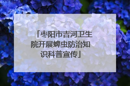 枣阳市吉河卫生院开展蜱虫防治知识科普宣传