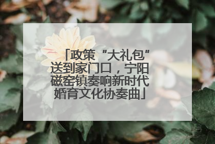 政策“大礼包”送到家门口，宁阳磁窑镇奏响新时代婚育文化协奏曲