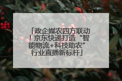 政企媒农四方联动！京东快递打造“智能物流+科技助农”行业直播新标杆