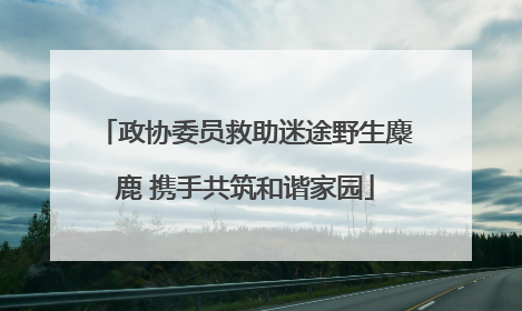 政协委员救助迷途野生麋鹿 携手共筑和谐家园