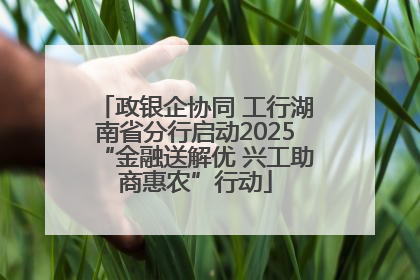 政银企协同 工行湖南省分行启动2025“金融送解优 兴工助商惠农”行动