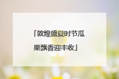 敦煌盛夏时节瓜果飘香迎丰收