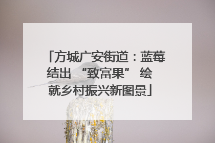 方城广安街道：蓝莓结出 “致富果” 绘就乡村振兴新图景