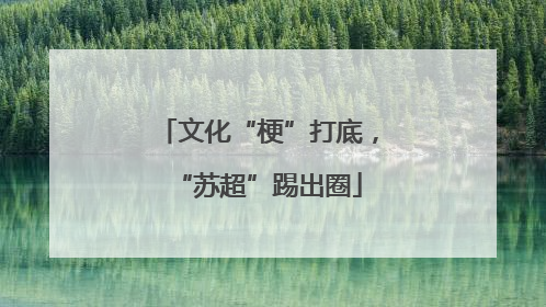 文化“梗”打底，“苏超”踢出圈