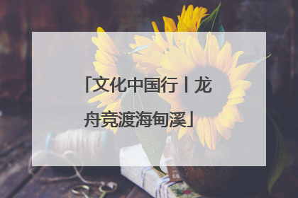 文化中国行丨龙舟竞渡海甸溪