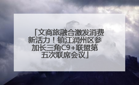 文商旅融合激发消费新活力！镇江润州区参加长三角C9+联盟第五次联席会议