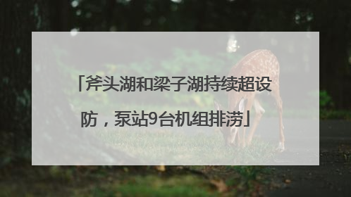 斧头湖和梁子湖持续超设防，泵站9台机组排涝
