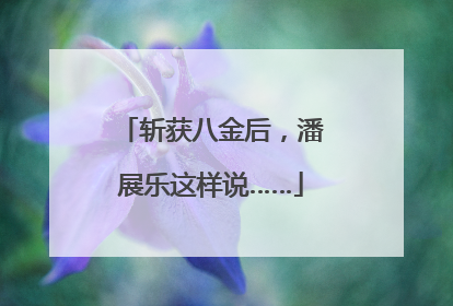 斩获八金后，潘展乐这样说……