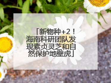 新物种+2！海南科研团队发现素贞灵芝和自然保护地壁虎