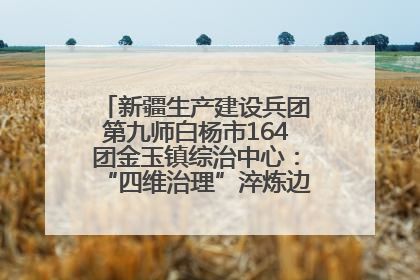新疆生产建设兵团第九师白杨市164团金玉镇综治中心：“四维治理”淬炼边疆“枫桥样本”