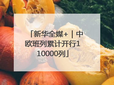 新华全媒+｜中欧班列累计开行110000列