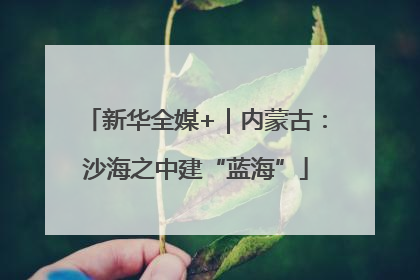 新华全媒+｜内蒙古：沙海之中建“蓝海”