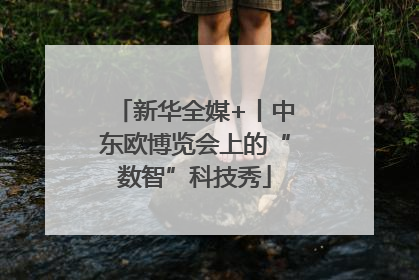 新华全媒+丨中东欧博览会上的“数智”科技秀