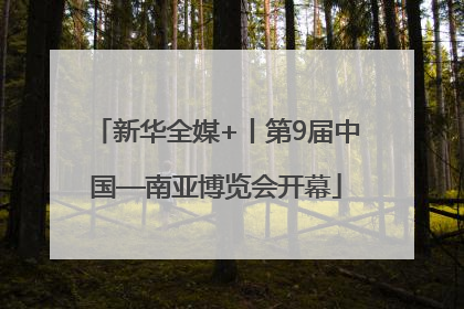 新华全媒+丨第9届中国—南亚博览会开幕