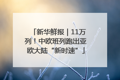 新华鲜报｜11万列！中欧班列跑出亚欧大陆“新时速”