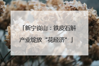 新宁崀山：铁皮石斛产业绽放“花经济”