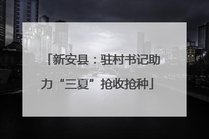 新安县：驻村书记助力“三夏”抢收抢种