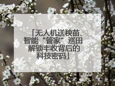 无人机送秧苗、智能“管家”巡田 解锁丰收背后的科技密码