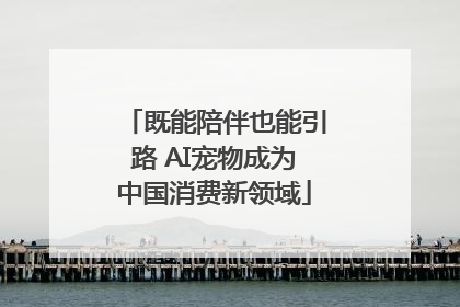 既能陪伴也能引路 AI宠物成为中国消费新领域