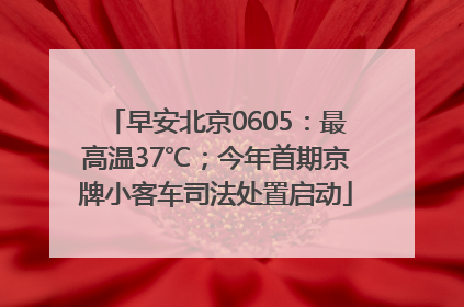 早安北京0605：最高温37℃；今年首期京牌小客车司法处置启动