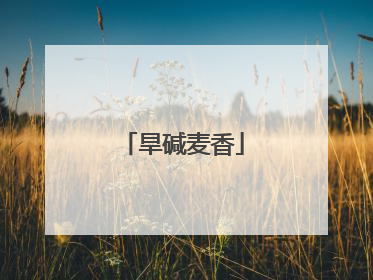 旱碱麦香