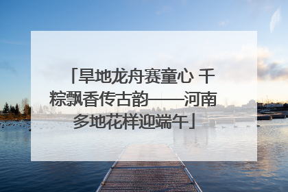 旱地龙舟赛童心 千粽飘香传古韵——河南多地花样迎端午