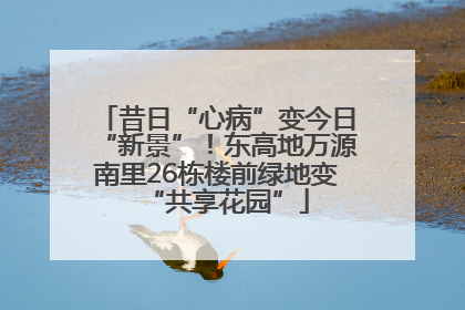 昔日“心病”变今日“新景”！东高地万源南里26栋楼前绿地变“共享花园”