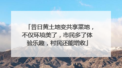 昔日黄土地变共享菜地，不仅环境美了，市民多了体验乐趣，村民还能增收