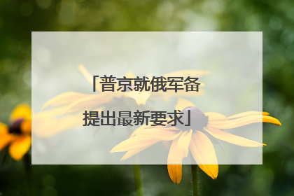 普京就俄军备提出最新要求