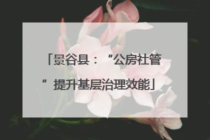 景谷县：“公房社管”提升基层治理效能