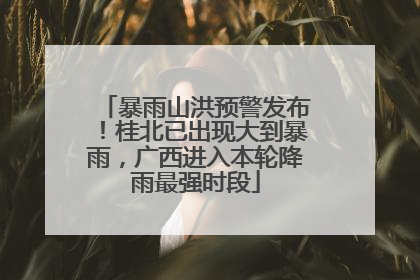 暴雨山洪预警发布！桂北已出现大到暴雨，广西进入本轮降雨最强时段