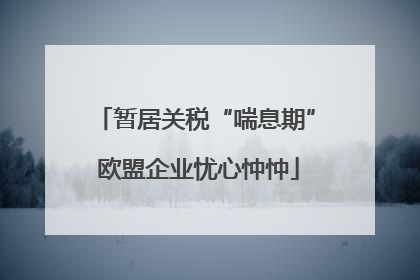暂居关税“喘息期” 欧盟企业忧心忡忡