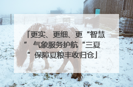 更实、更细、更“智慧” 气象服务护航“三夏”保障夏粮丰收归仓