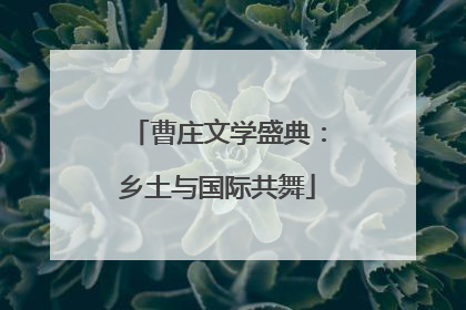 曹庄文学盛典：乡土与国际共舞