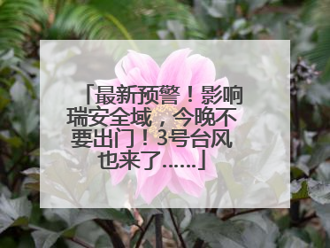 最新预警！影响瑞安全域，今晚不要出门！3号台风也来了……