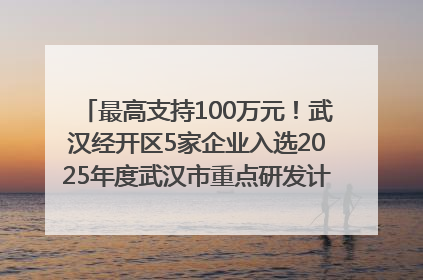 最高支持100万元！武汉经开区5家企业入选2025年度武汉市重点研发计划拟立项项目名单