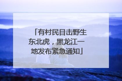 有村民目击野生东北虎，黑龙江一地发布紧急通知