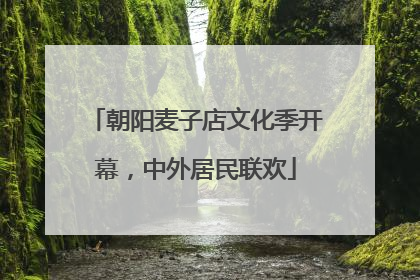 朝阳麦子店文化季开幕，中外居民联欢