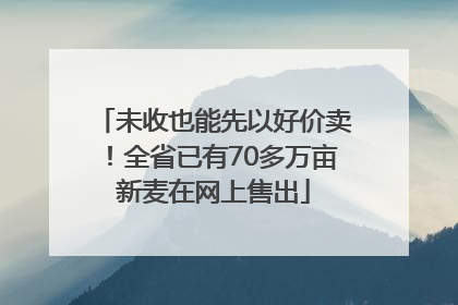 未收也能先以好价卖！全省已有70多万亩新麦在网上售出