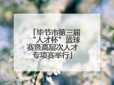 毕节市第三届“人才杯”篮球赛暨高层次人才专项赛举行