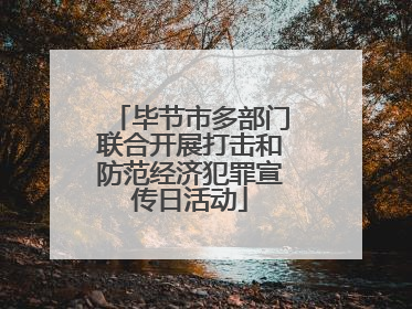 毕节市多部门联合开展打击和防范经济犯罪宣传日活动