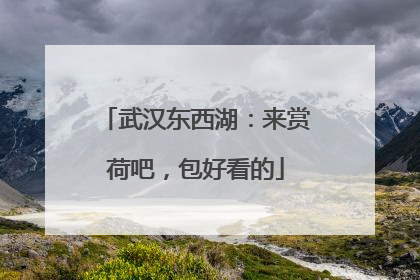 武汉东西湖：来赏荷吧，包好看的