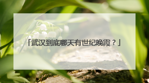 武汉到底哪天有世纪晚霞？