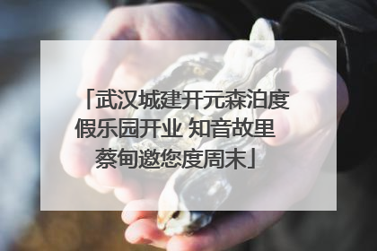 武汉城建开元森泊度假乐园开业 知音故里蔡甸邀您度周末