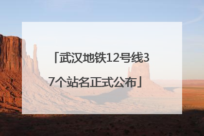 武汉地铁12号线37个站名正式公布