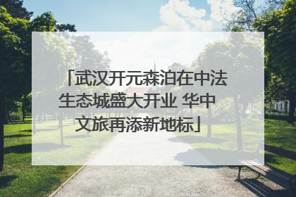 武汉开元森泊在中法生态城盛大开业 华中文旅再添新地标