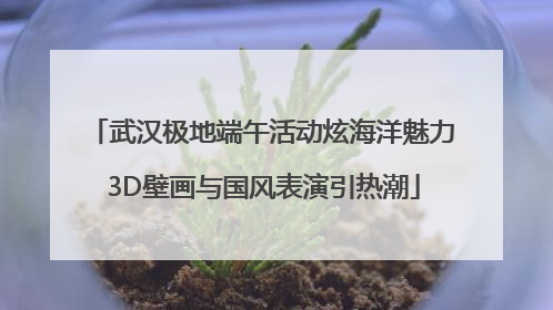 武汉极地端午活动炫海洋魅力 3D壁画与国风表演引热潮