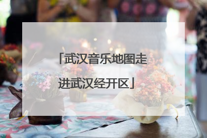 武汉音乐地图走进武汉经开区