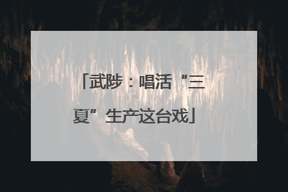 武陟：唱活“三夏”生产这台戏